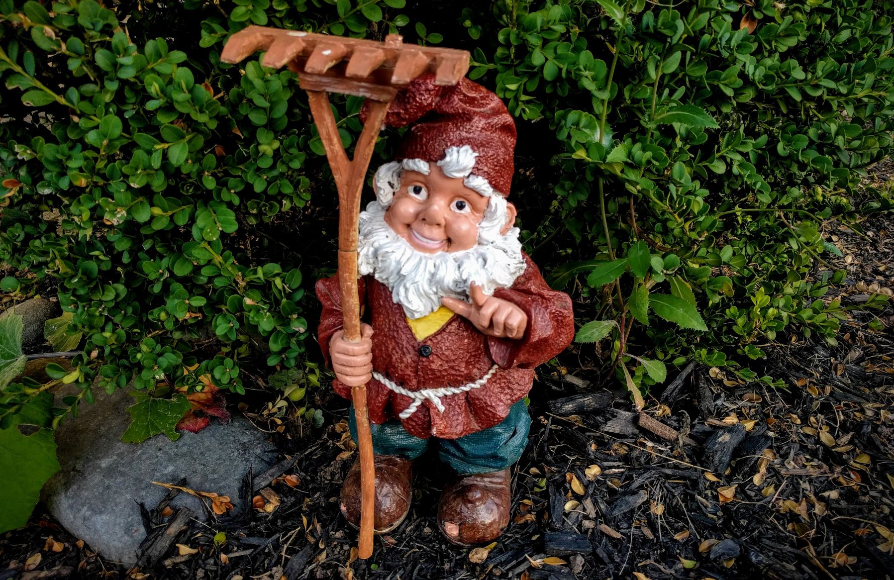 a gnome